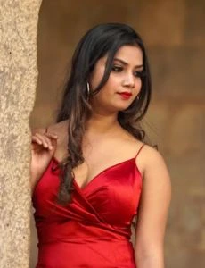 call girl service in Hussainganj